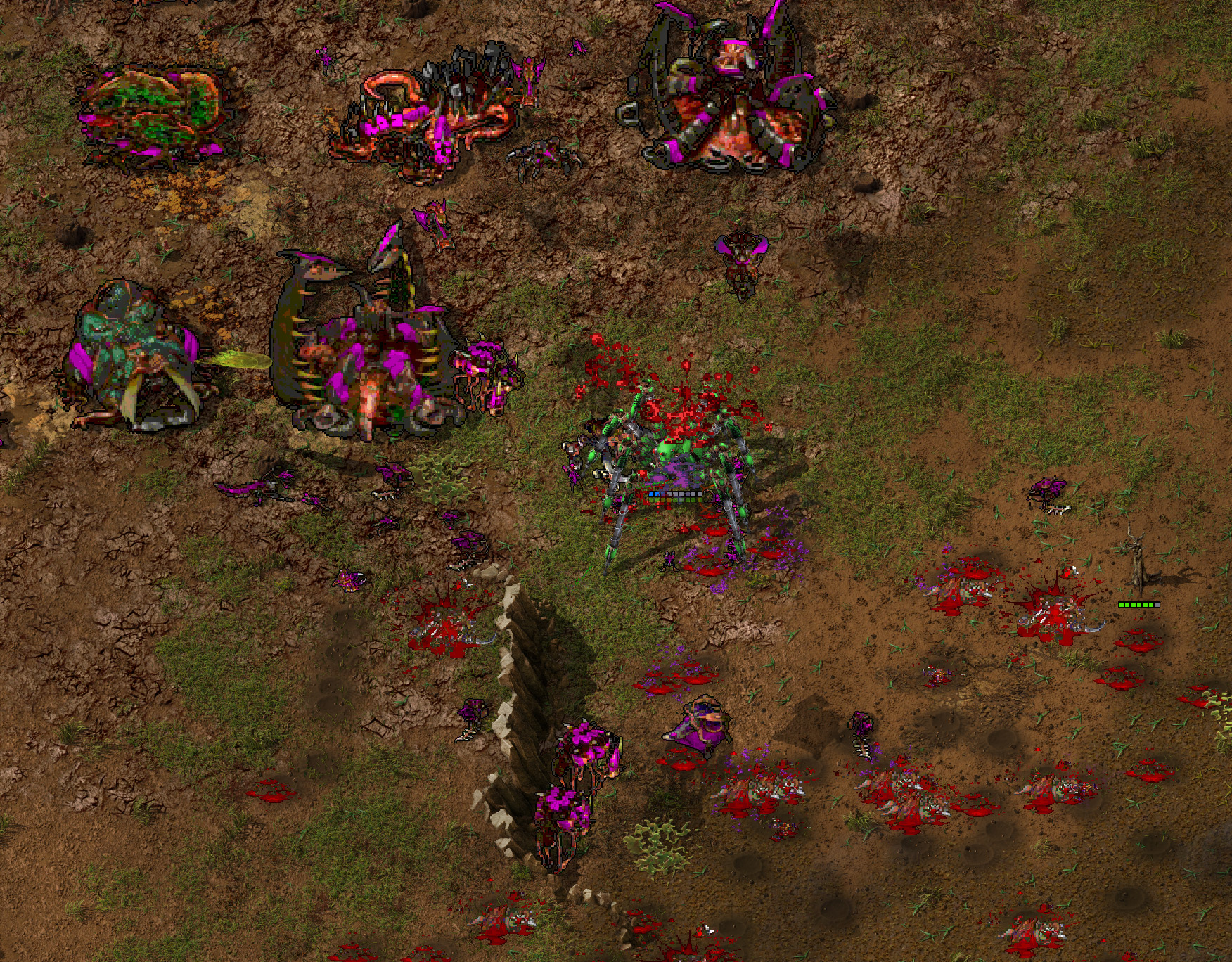 starcraft 1 zerg units